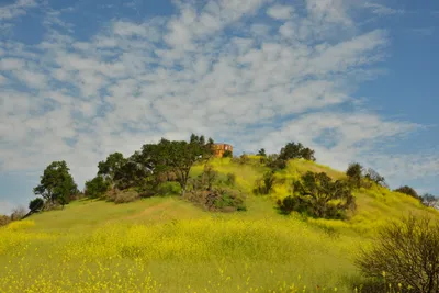 DSC_6402 (Large).JPG